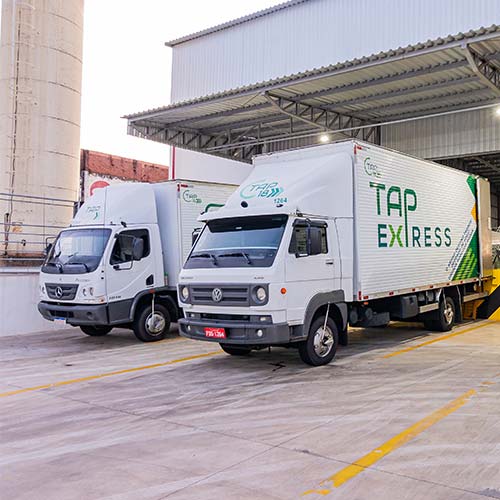 TAP Express | Transporte de Cargas e Encomendas | Presidente Prudente-SP