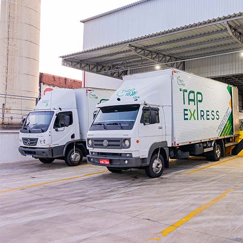 TAP Express | Transporte de Cargas e Encomendas | Presidente Prudente-SP TAP Express | Transporte de Cargas e Encomendas | Presidente Prudente-SP